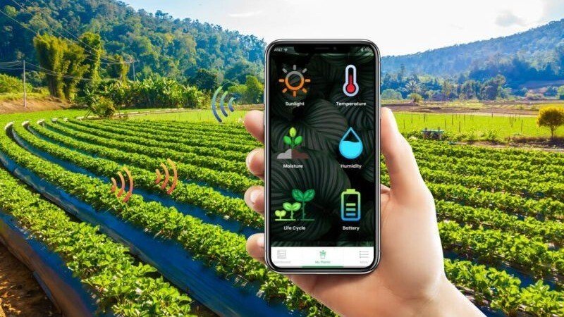 IoT Sensors (Soil & Weather01 (1)